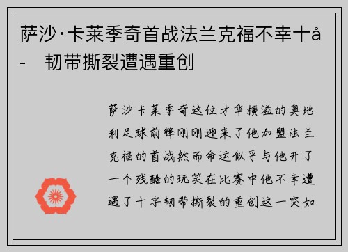 萨沙·卡莱季奇首战法兰克福不幸十字韧带撕裂遭遇重创 萨沙·卡莱季奇首战法兰克福不幸十字韧带撕裂遭遇重创